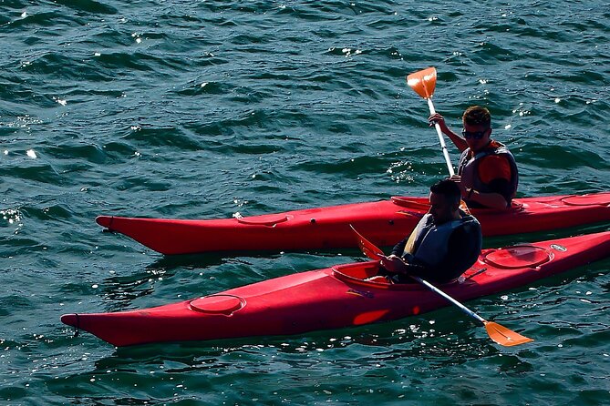 Cairo Kayak on The Nile River - The 15-minute briefing before you paddle