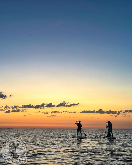 Cala Ratjada: Stand Up Paddle Sunrise Tour - Key points to know before you book