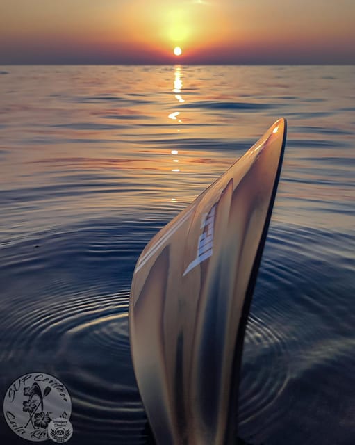 Cala Ratjada: Stand Up Paddle Sunrise Tour - Starting at the Cala Agulla roundabout