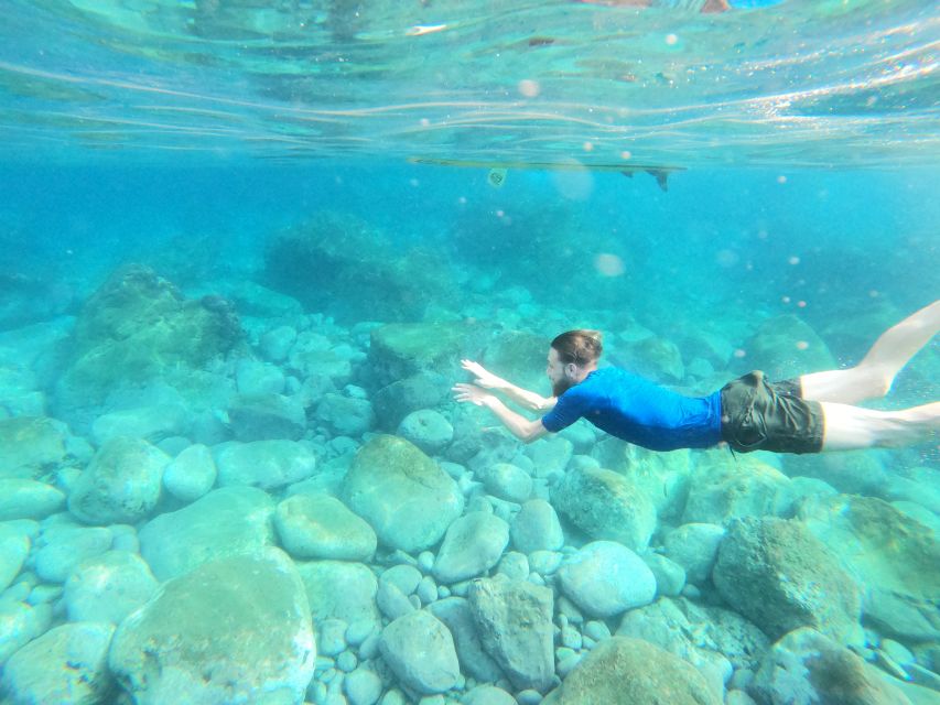 Câmara de Lobos: Private Guided Kayaking Tour in Madeira - Should you book the Câmara de Lobos kayak tour?