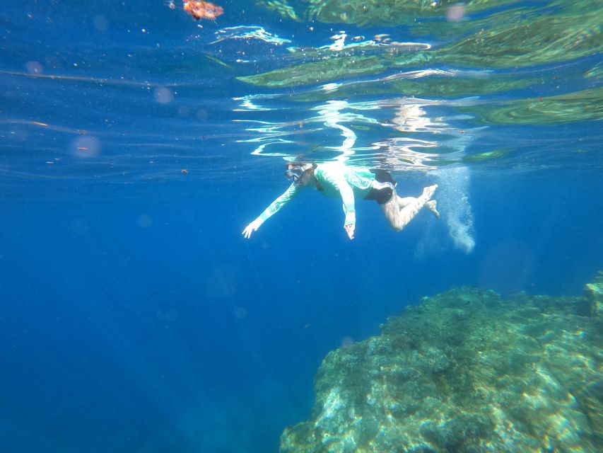 Câmara de Lobos: Private Guided Kayaking Tour in Madeira - Is the $82 price good value?