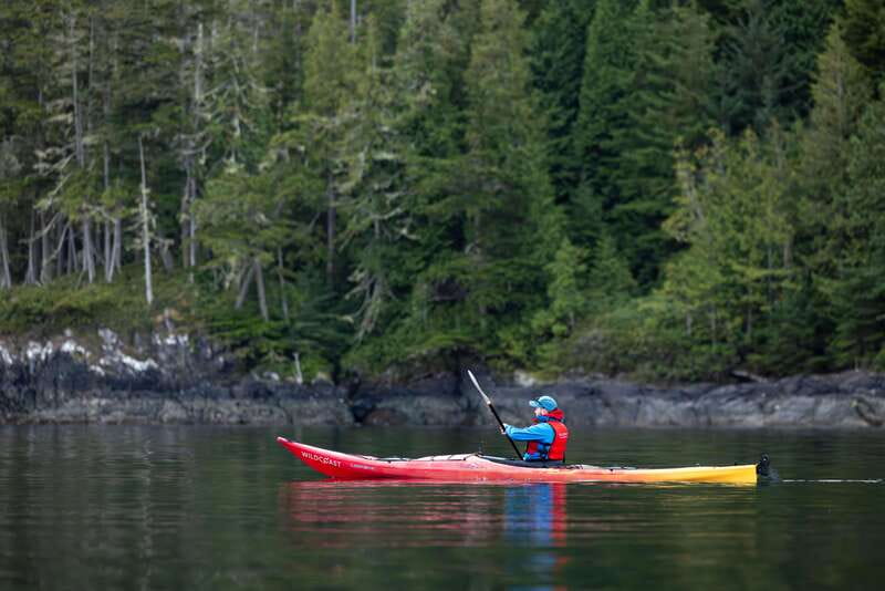 Campbell River: Kayaking and Whale Watching Tour - Lunch, hot drinks, and the practical comforts