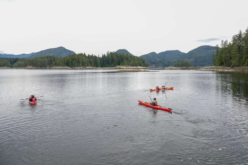 Campbell River: Kayaking and Whale Watching Tour - How to prepare for a better day