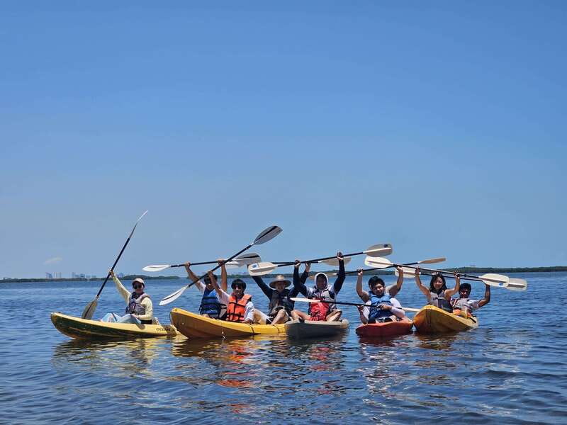 Cancun: Kayaking Tour in Nichupte Lagoon - Is $45 a fair price?