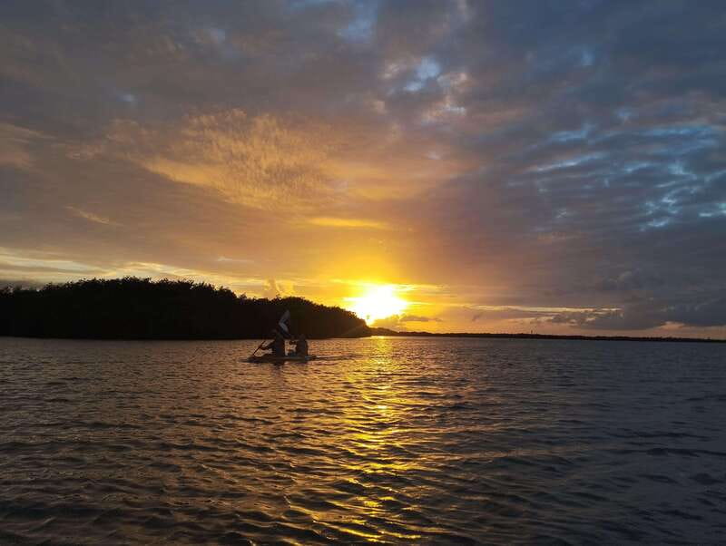 Cancun: Kayaking Tour in Nichupte Lagoon - Why Nichupte Lagoon makes a good break from Cancun