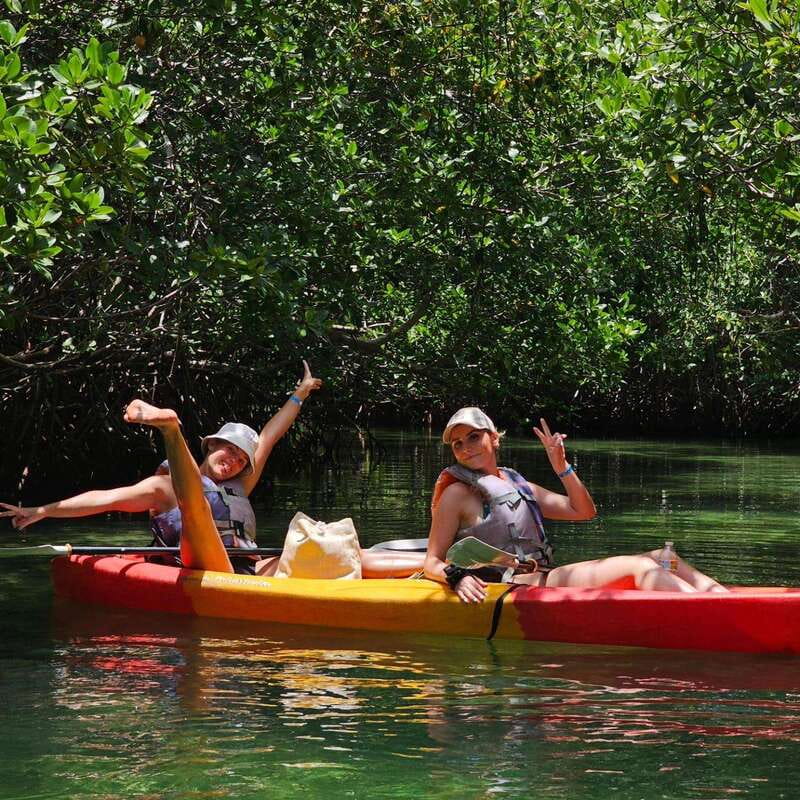 Cancun: Kayaking Tour in Nichupte Lagoon - Wildlife watching in Nichupte Lagoon
