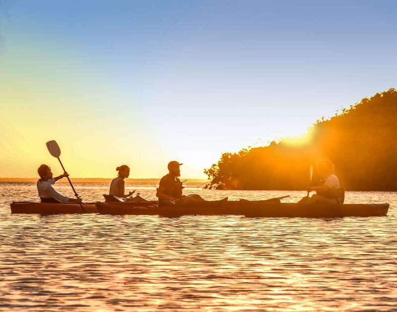 Cancún: Morning or Sunset Kayak Adventure in Nichupte Lagoon - Why Nichupté Lagoon makes a better nature outing than another beach hour
