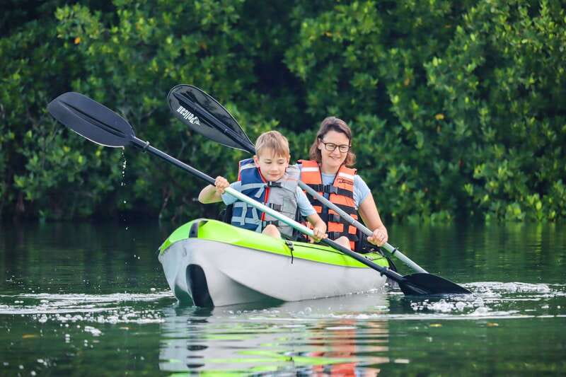 Cancun: Sunset Kayak Experience in the Mangroves - Why this lagoon trip feels different from Cancun