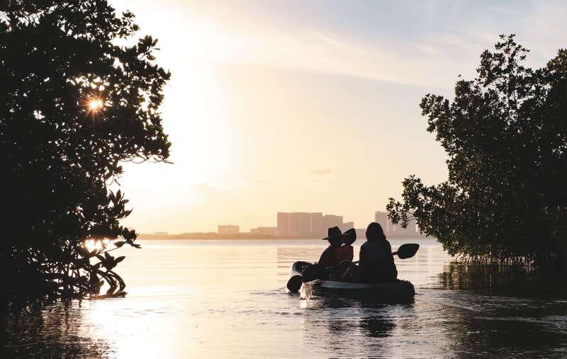 Cancun: Sunset Kayak Experience in the Mangroves - What to bring and who should skip it