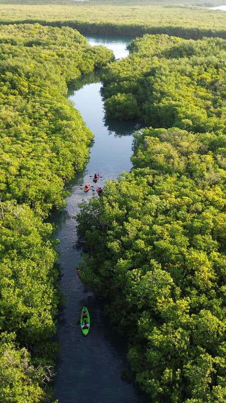 Cancun: Sunset Kayak Experience in the Mangroves - Getting started with a 15-minute safety briefing