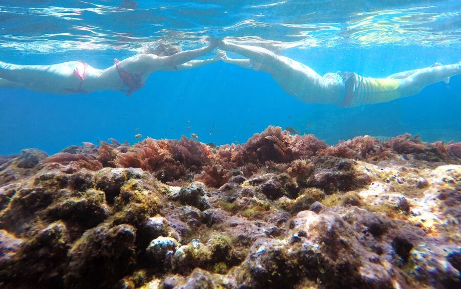 Caniço, Madeira: Marine Reserve Kayak & Snorkelling Tour - Starting beside Caniço’s protected waters