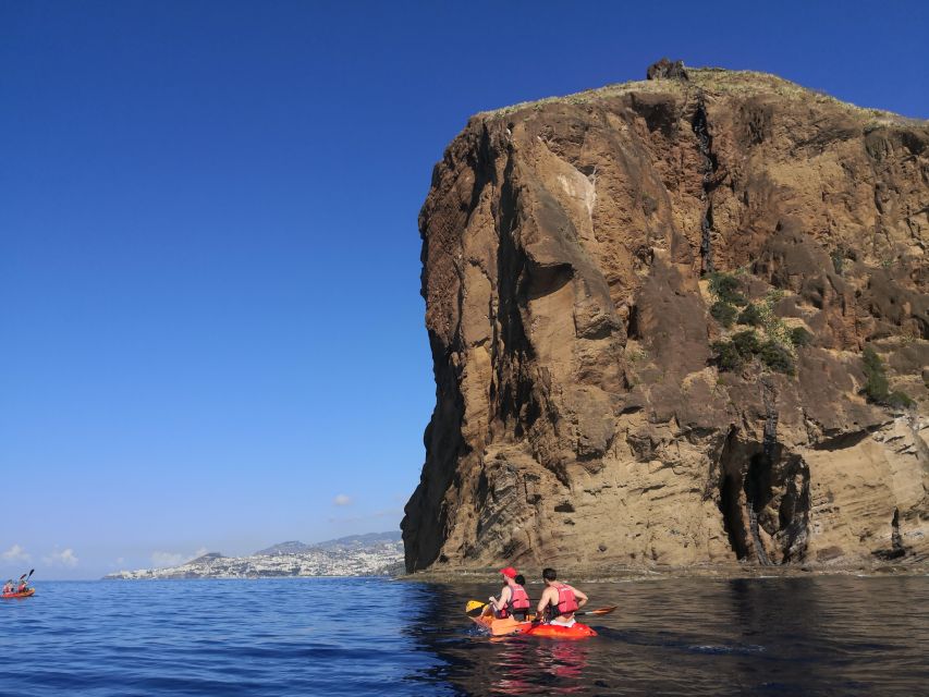 Caniço, Madeira: Marine Reserve Kayak & Snorkelling Tour - Snorkelling in the Garajau Marine Reserve