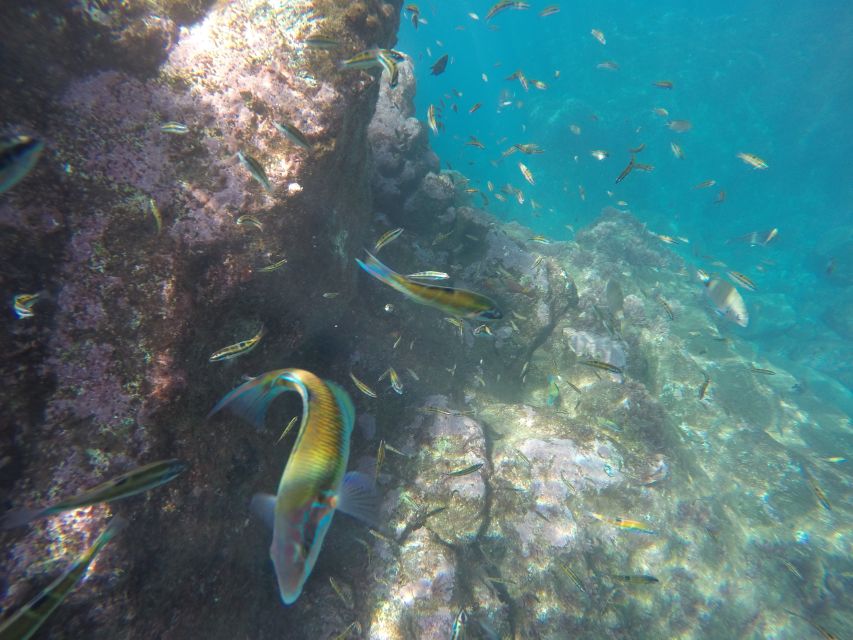 Caniço, Madeira: Marine Reserve Kayak & Snorkelling Tour - How the guides shape the experience