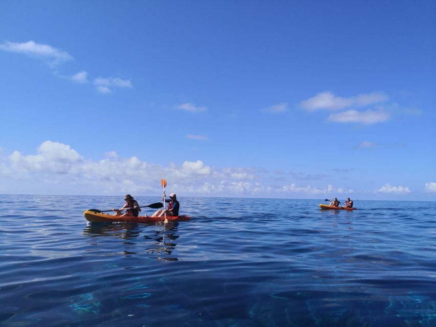 Caniço, Madeira: Marine Reserve Kayak & Snorkelling Tour - Booking details worth knowing