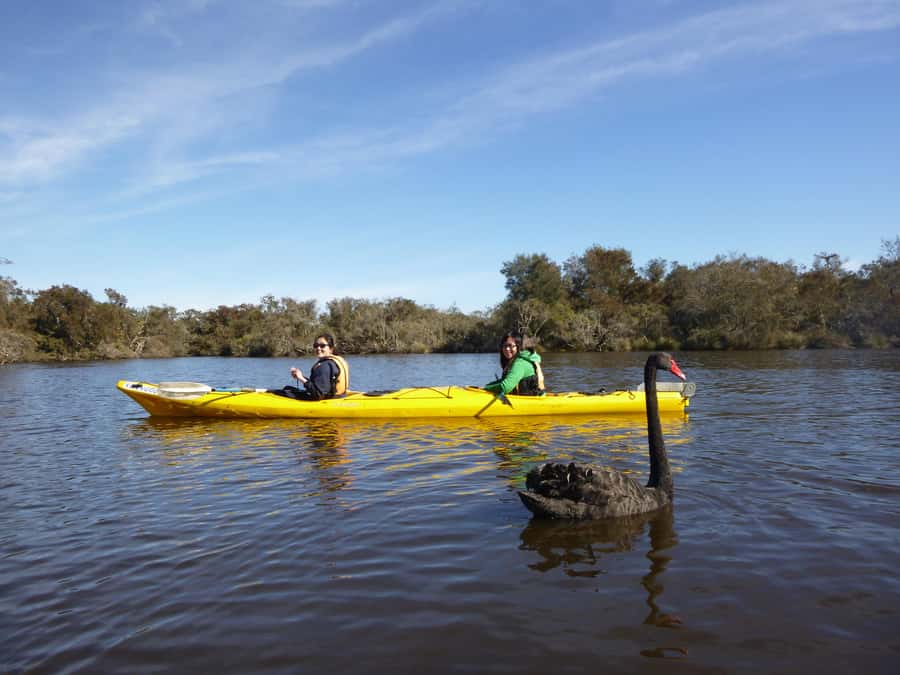 Canning River Half-Day Kayak Wildlife Tour - Key points to know before you paddle