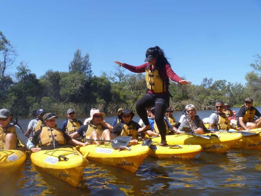 Canning River Half-Day Kayak Wildlife Tour - Why the guides make more difference than the equipment