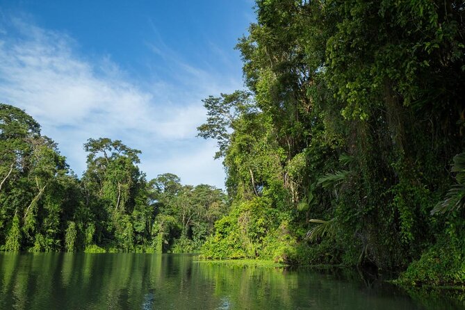 Canoe tour dentro del Parque - Key points to know before you book