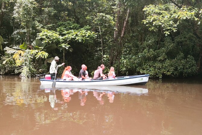 Canoe tour dentro del Parque - Tortuguero National Park by canoe