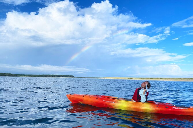Cape Cod Kayak Rentals in the Great Marsh - Equipment That Helps You Enjoy the Route