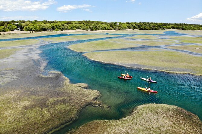 Cape Cod Kayak Rentals in the Great Marsh - What $50 Per Person Buys You