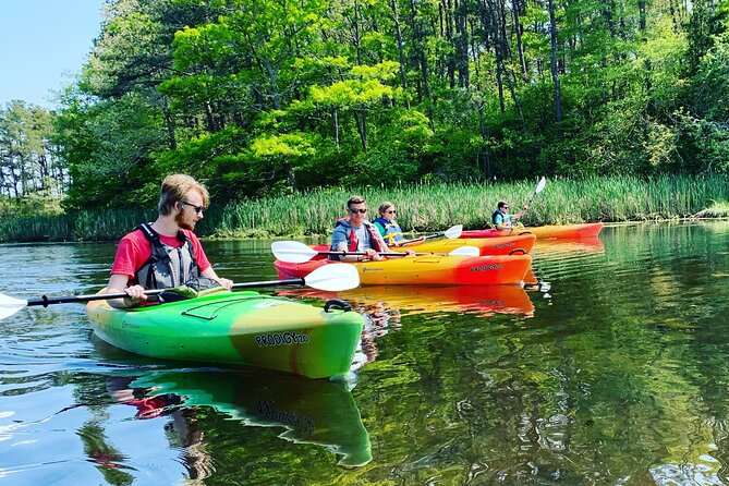 Cape Cod Kayak Rentals in the Great Marsh - Who Will Enjoy This Most
