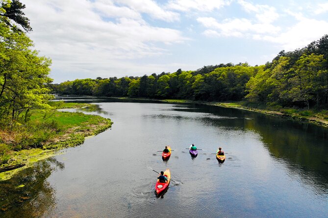Cape Cod Sunset Kayak Tour - Booking and cancellation details worth knowing