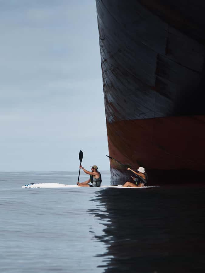 Cape Town: Dolphin & Ocean Wildlife Kayaking Adventure ⚓️ - Who will enjoy this Cape Town kayaking trip?