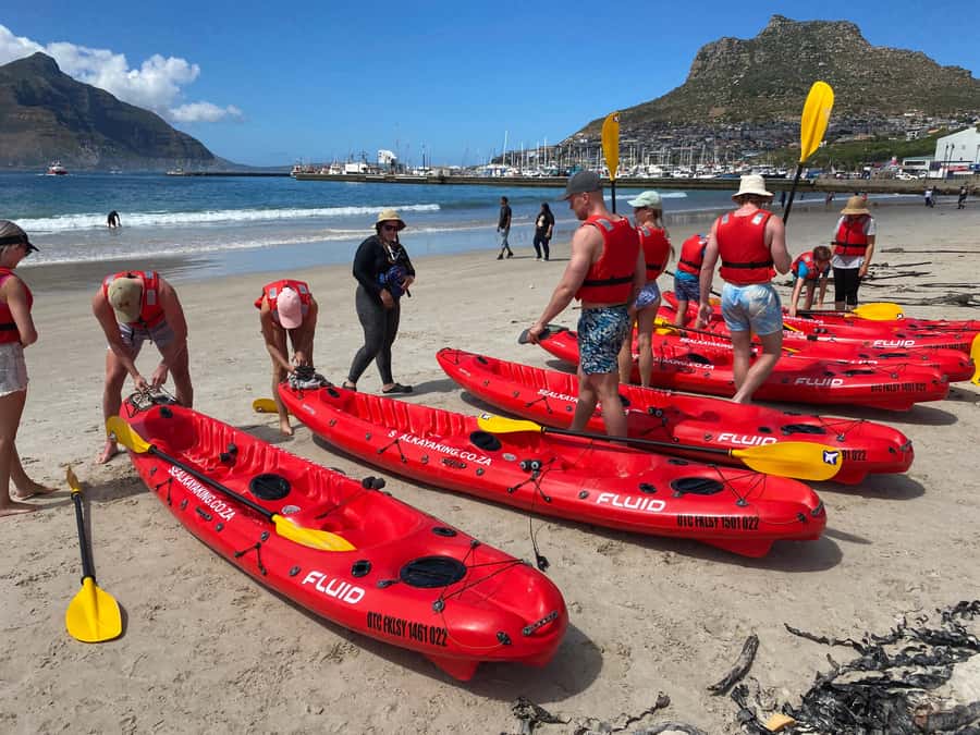 Cape Town: Guided Kayak Tour - Starting beside Hout Bay’s main road