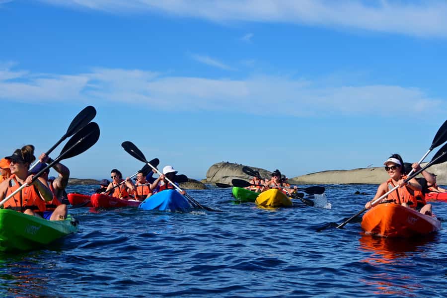 Cape Town: Guided Kayak Tour of Clifton Beaches & The Coast - Paddling from Clifton 4th to Clifton 1st