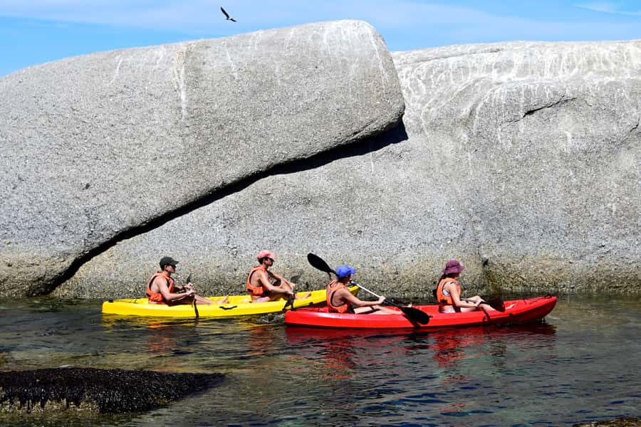 Cape Town: Guided Kayak Tour of Clifton Beaches & The Coast - What the $49 price really gets you