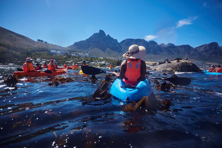 Cape Town: Guided Kayak Tour of Clifton Beaches & The Coast - Weather, clothing, and practical comfort