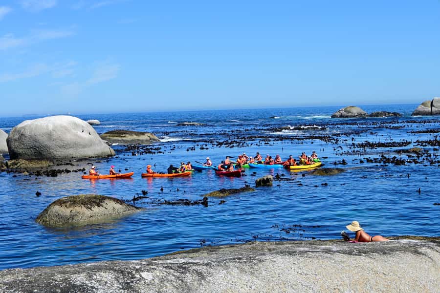Cape Town: Guided Kayak Tour of Clifton Beaches & The Coast - Who will enjoy this Clifton kayak trip?