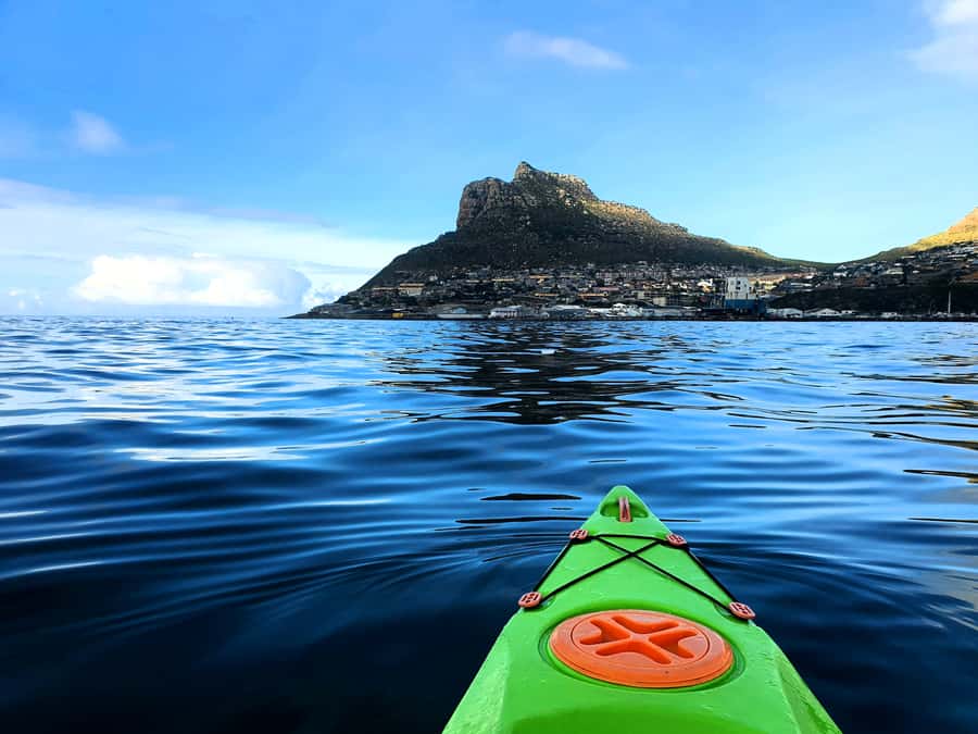 Cape Town: Guided Kayaking in Hout Bay - Starting beside Ground Up Café in Hout Bay Harbour