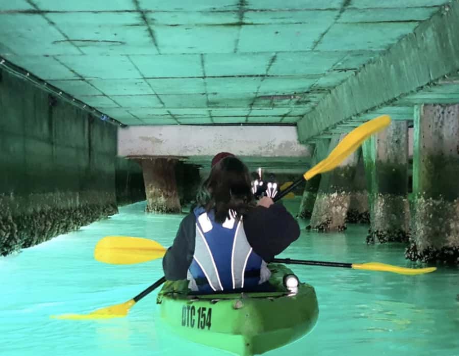 Cape Town: Guided Kayaking in Hout Bay - Paddling out for Hout Bay views