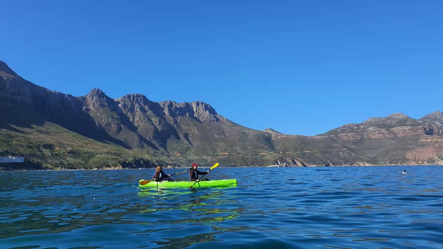 Cape Town: Guided Kayaking in Hout Bay - A closer look at Chapmans Peak and local stories
