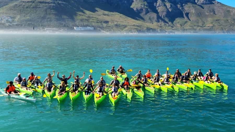 Cape Town: Guided Kayaking in Hout Bay - How physical is two hours on the Atlantic?