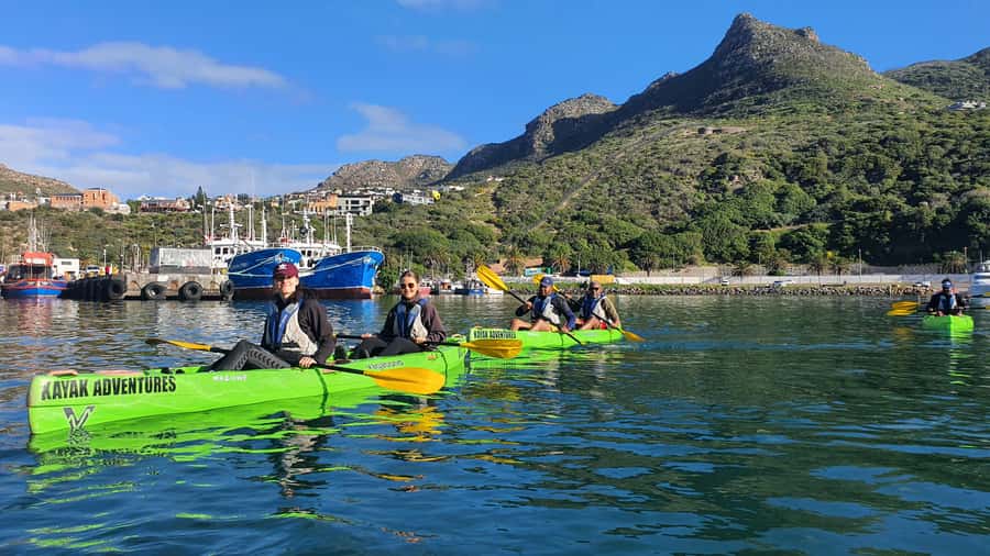 Cape Town: Guided Kayaking in Hout Bay - What the $37 price really covers