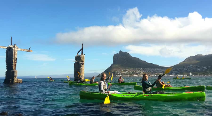 Cape Town: Guided Kayaking in Hout Bay - Who should book this Hout Bay kayak trip?