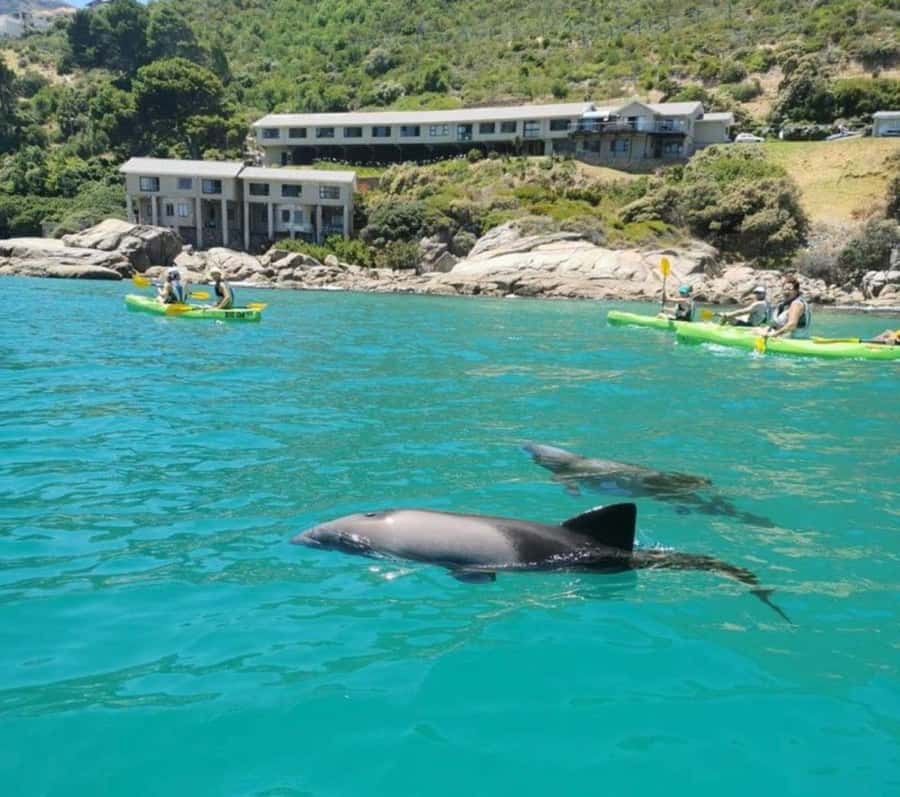 Cape Town: Guided Kayaking in Hout Bay - Getting fitted with kayaks and safety gear