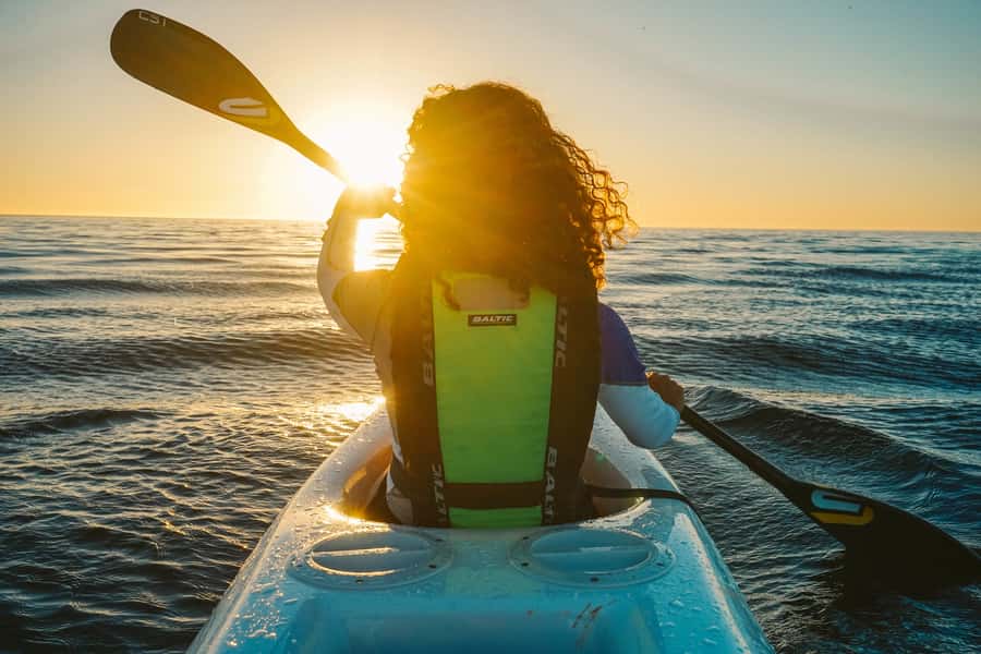 Cape Town: Marine Life Kayak Tour From the V&A Waterfront - The Mountain Views From Sea Level