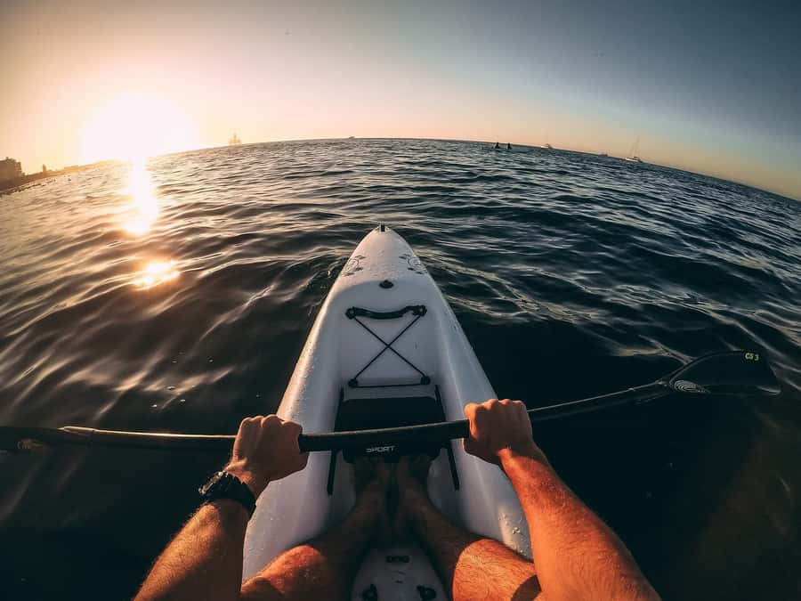Cape Town: Marine Life Kayak Tour From the V&A Waterfront - Who Will Enjoy This Most