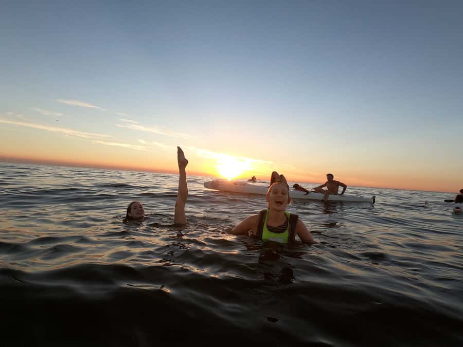 Cape Town: Marine Life Kayak Tour From the V&A Waterfront - Should You Book This Kayak Tour?
