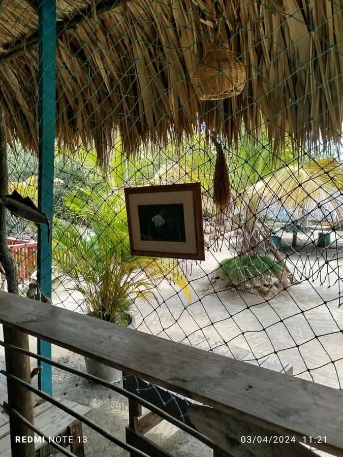 Cartagena: FISHERMEN'S ISLAND IN THE MANGROVES by canoe - The five things to know before you go