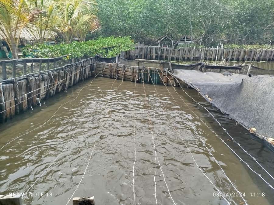Cartagena: FISHERMEN'S ISLAND IN THE MANGROVES by canoe - Booking, cancellation, and communication
