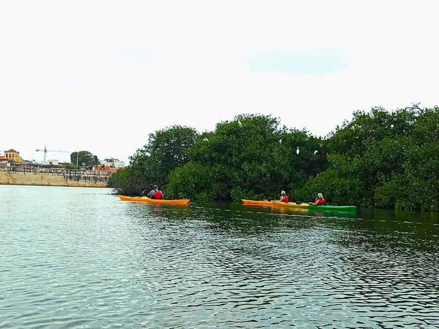 Cartagena: Walled City Kayak Tour - Is $73 a fair price?