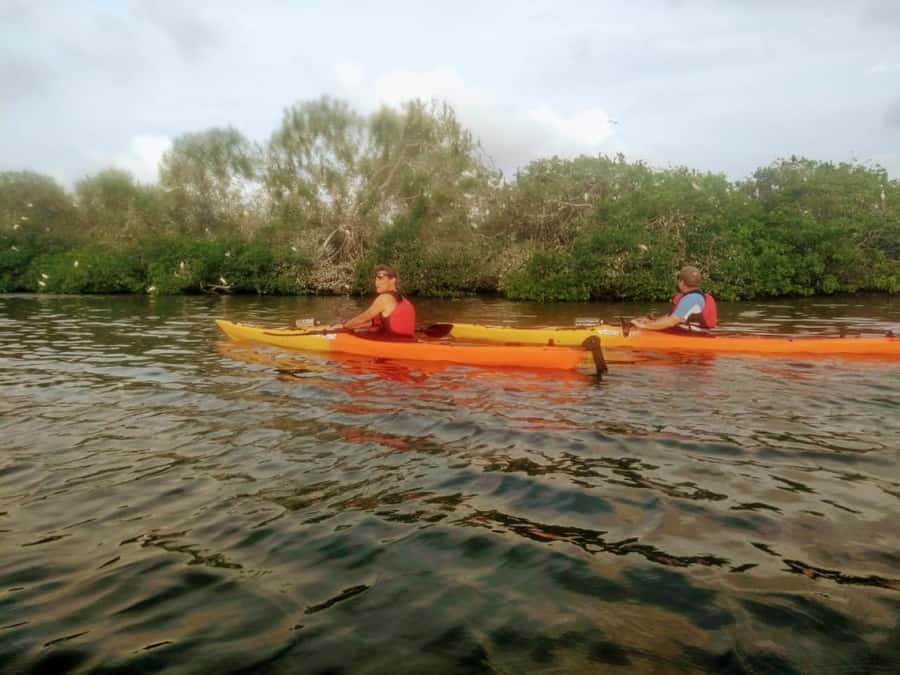 Cartagena: Walled City Kayak Tour - Following the walls past the old city