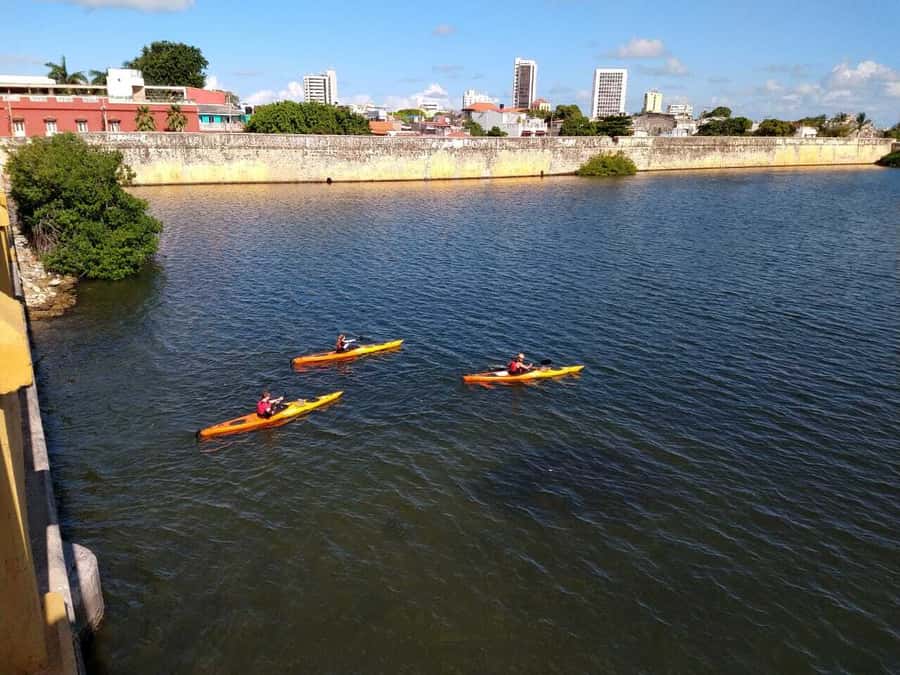 Cartagena: Walled City Kayak Tour - Kayak arrangements and group size
