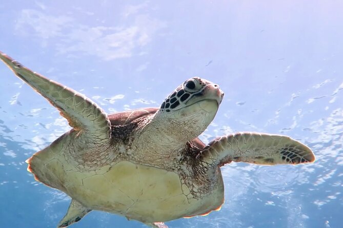 Cas Cay - Kayak Hike and Snorkel Adventure - Key things to know before you book