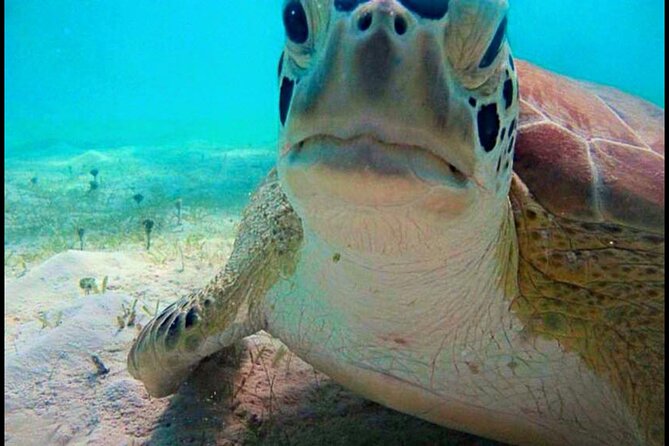 Cas Cay - Kayak Hike and Snorkel Adventure - Guides make the difference