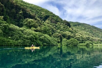 Kayak Food and Wine Tour
